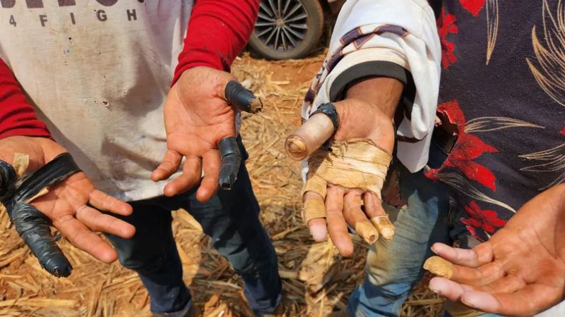 Seis políticos eleitos em 2024 aparecem na lista suja do trabalho escravo