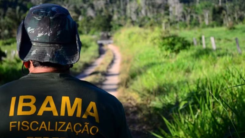 Ibama abre concurso com vagas e salários de até R$ 9,9 mil