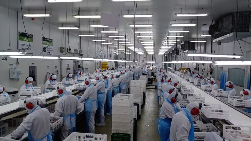 Preços dos alimentos caem no atacado após 10 meses e podem aliviar para o consumidor