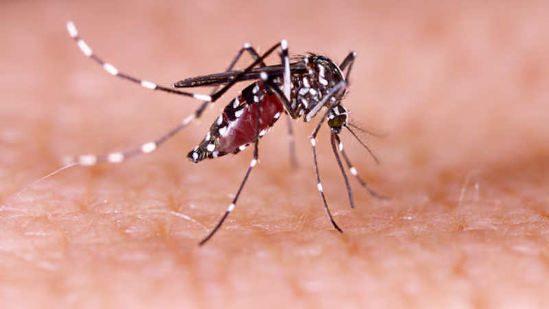 Governo Federal autoriza pagamento de R$ 60.000 a vítimas da síndrome causada pelo vírus Zika