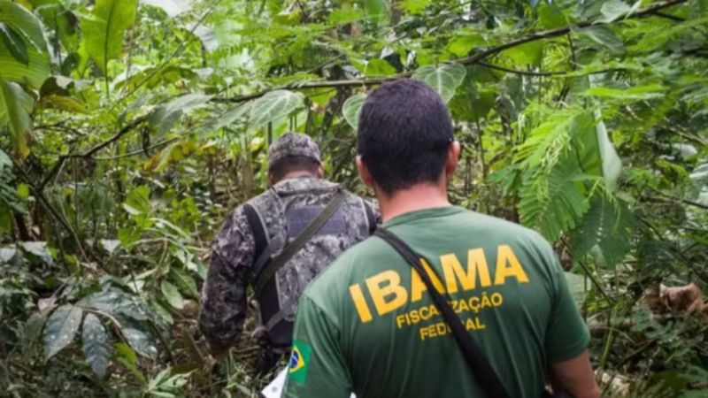 Ibama descarta impacto de decreto de Trump e afirma autonomia no combate a incêndios