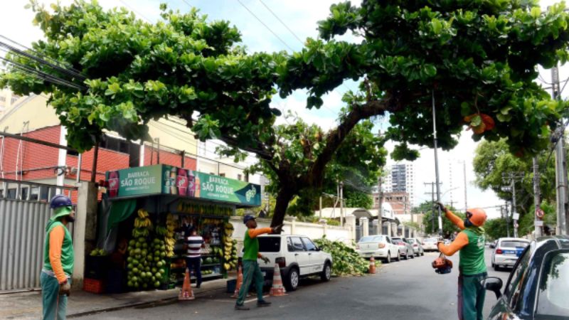 Seman intensifica poda de árvores nos circuitos do Carnaval