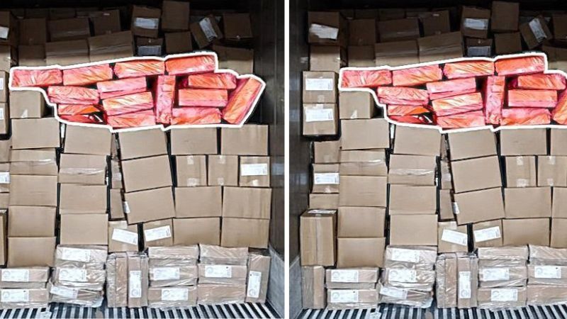 PF desmantela grupo criminoso envolvido em exportação de cocaína com carga de alimentos congelados; R$ 450 milhões foram movimentados