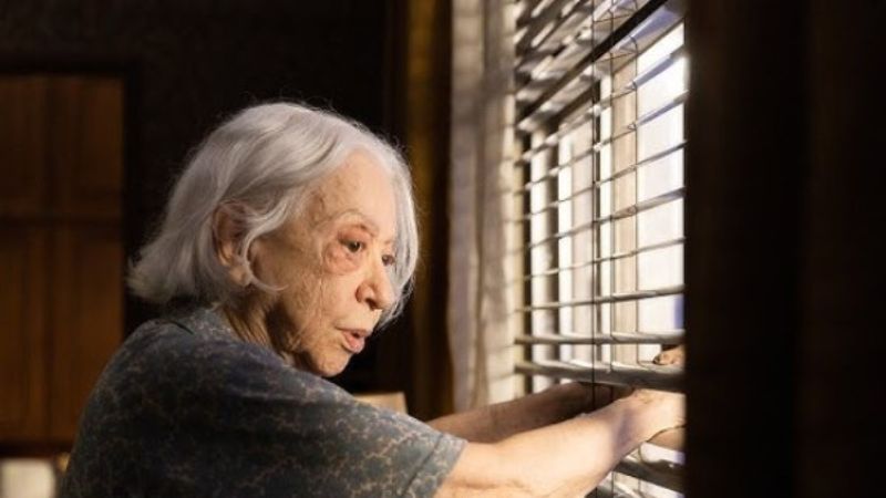 ‘Vitória’, com Fernanda Montenegro, registra melhor estreia de um filme nacional em 2025