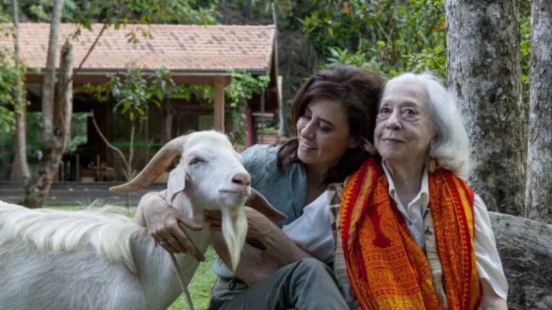 Fernanda Torres busca descanso em sítio da família após maratona do Oscar