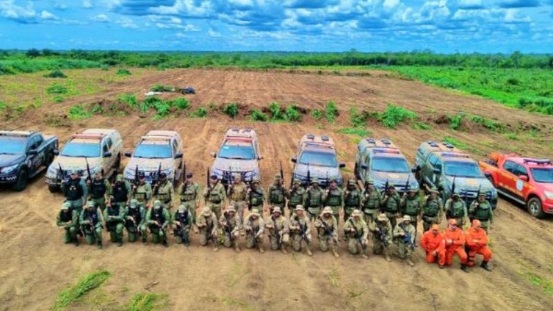 Ação conjunta entre polícias da Bahia e Piauí erradica 120 mil pés de maconha