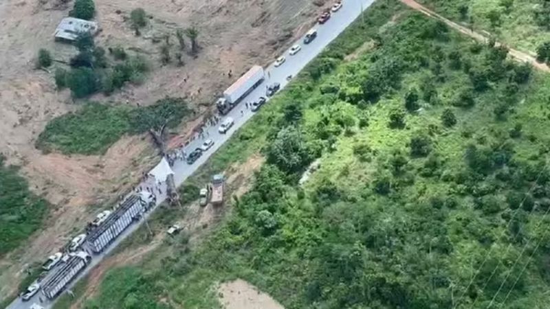 Operação contra desmatamento apreende 750 cabeças de gado e aplica R$ 64 mil em multas no Pará