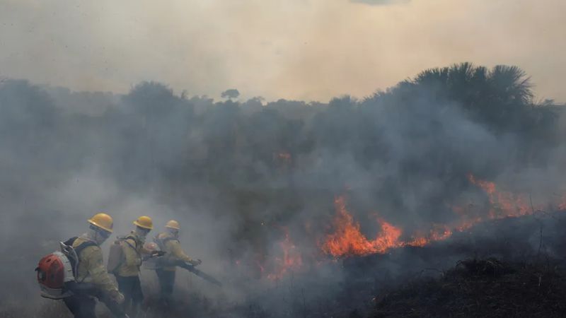 STF determina desapropriação de terras devastadas por crimes ambientais