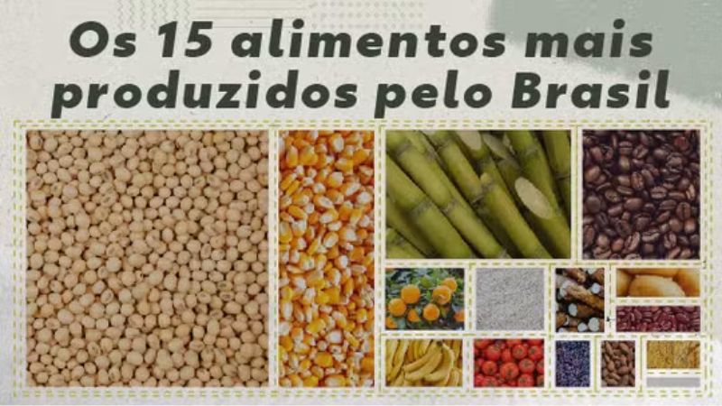Brasil enfrenta a fome apesar de recordes na produção de alimentos