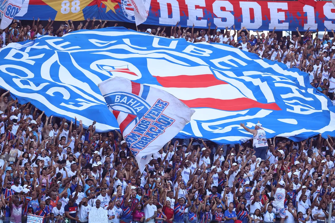 Bahia x Botafogo: onde assistir, prováveis escalações; saiba mais