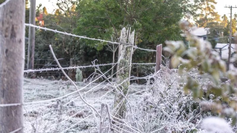 Frio intenso chega ao Rio Grande do Sul com possibilidade de neve