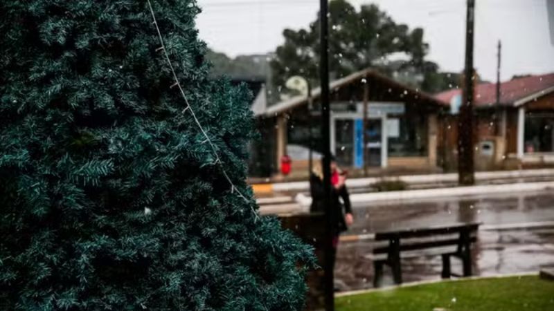 Primeira neve de 2025 é registrada na Serra do Rio Grande do Sul