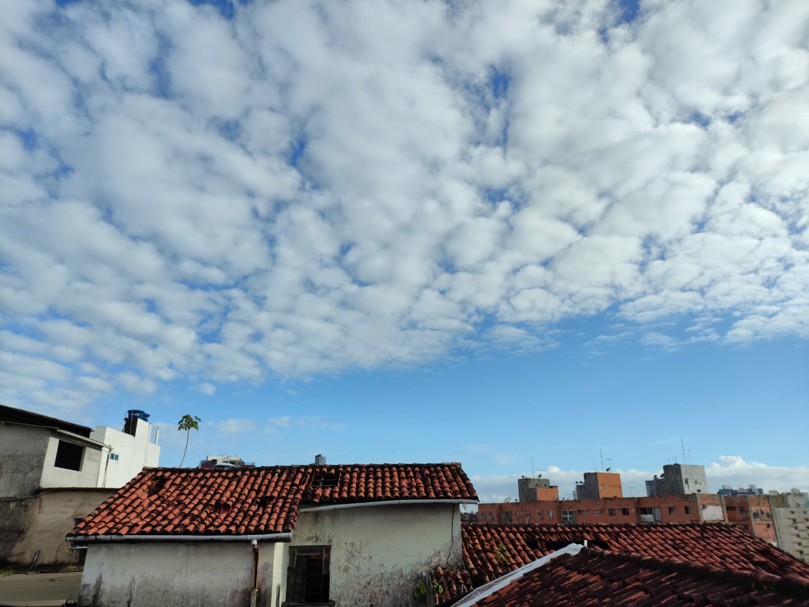Frente fria se aproxima e Salvador terá fim de semana com chuva e ventos fortes