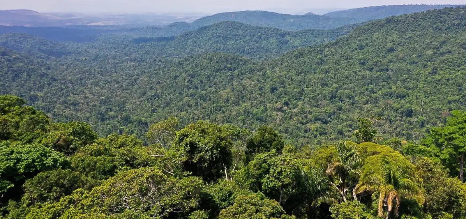 Queda de avião-ambulância na Amazônia deixa quatro mortos