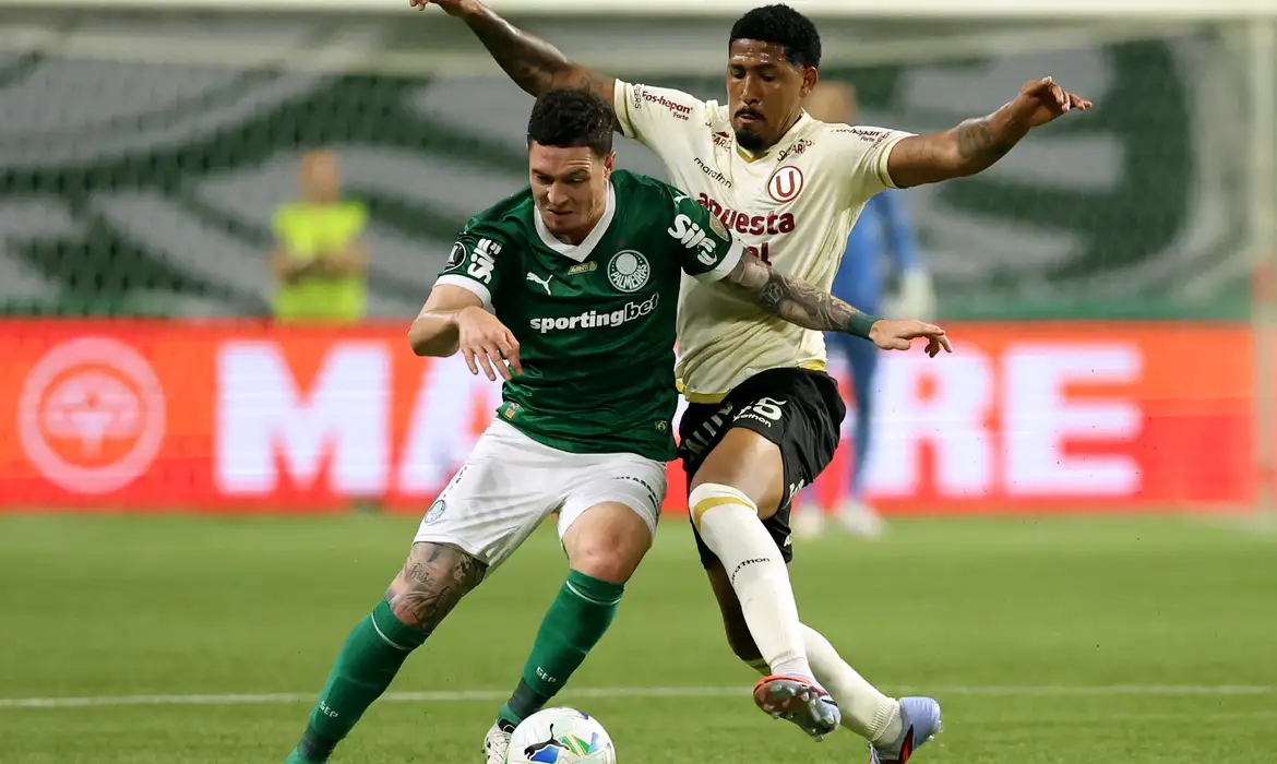 Palmeiras avança às quartas da Libertadores; Botafogo é eliminado pela LDU