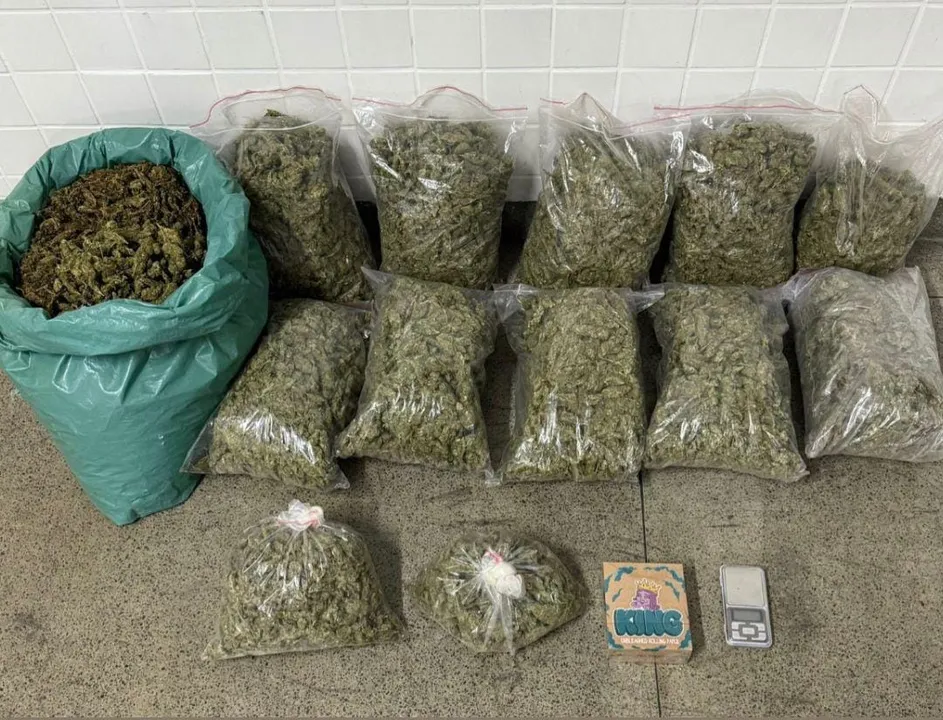 Polícia Militar apreende 34 kg de maconha em Feira de Santana