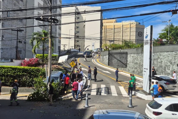Idosa perde controle de carro e derruba portão do Shopping Barra em Salvador