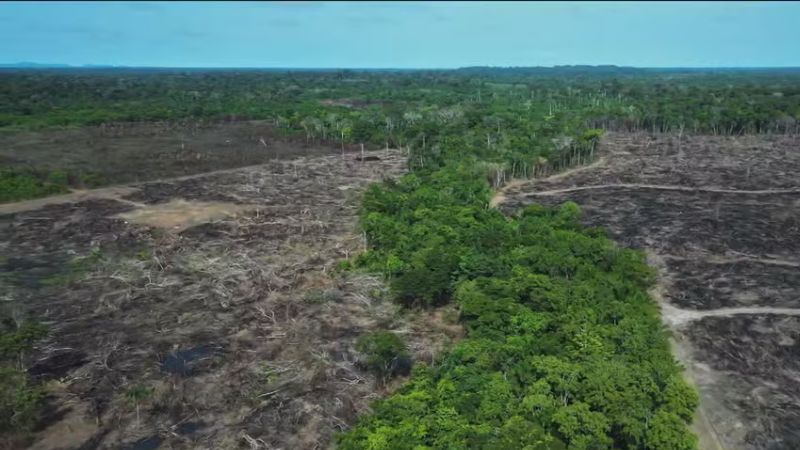 Pontos de não retorno: o que são e por que representam uma ameaça global ao equilíbrio climático
