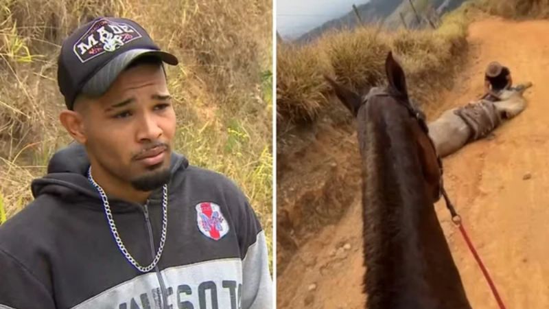 Jovem investigado por mutilar cavalo em Bananal diz estar arrependido: “Não sou um monstro”