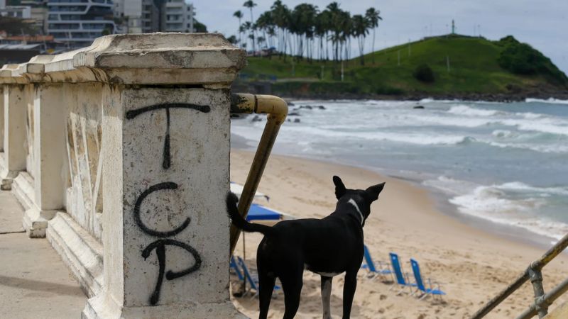 Pichações do TCP na Barra acendem alerta sobre avanço de facções em Salvador