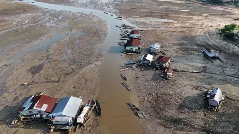 Desmatamento já é responsável por 75% da perda de chuvas na Amazônia, aponta estudo