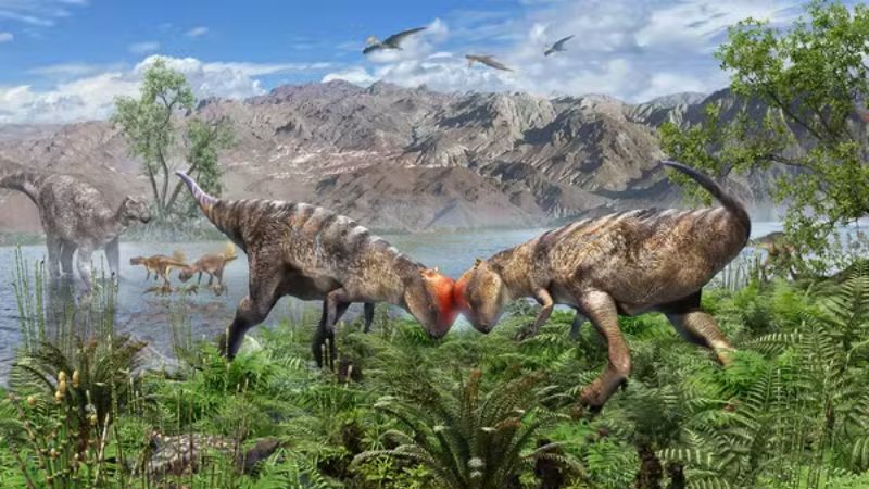 Fóssil de dinossauro com “capacete ósseo” é descoberto na Mongólia e pode reescrever história evolutiva
