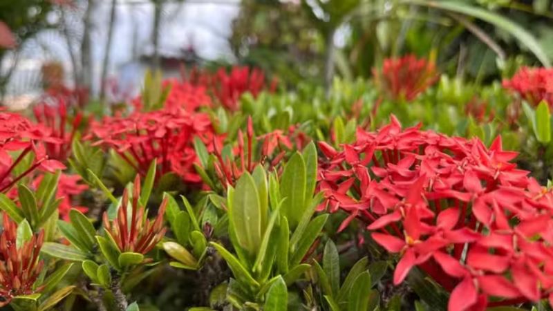 Equinócio de primavera marca início da nova estação e mudança na duração dos dias