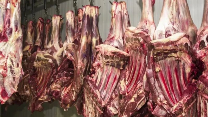 Açougue Casa de Carne Boi Real é alvo de ação do MP-BA por irregularidades sanitárias em Salvador