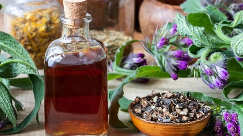 Confrei: planta popular vendida em feiras pode causar danos graves ao fígado e levar ao transplante