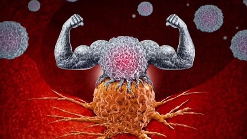 Descoberta premiada com o Nobel de Medicina abre caminho para terapias inovadoras contra o câncer