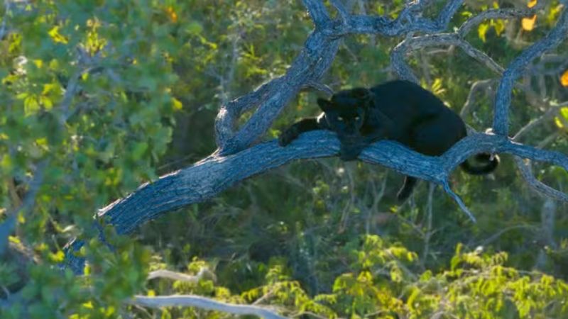 Turismo sustentável ajuda a preservar áreas naturais e impulsiona economia local no Brasil