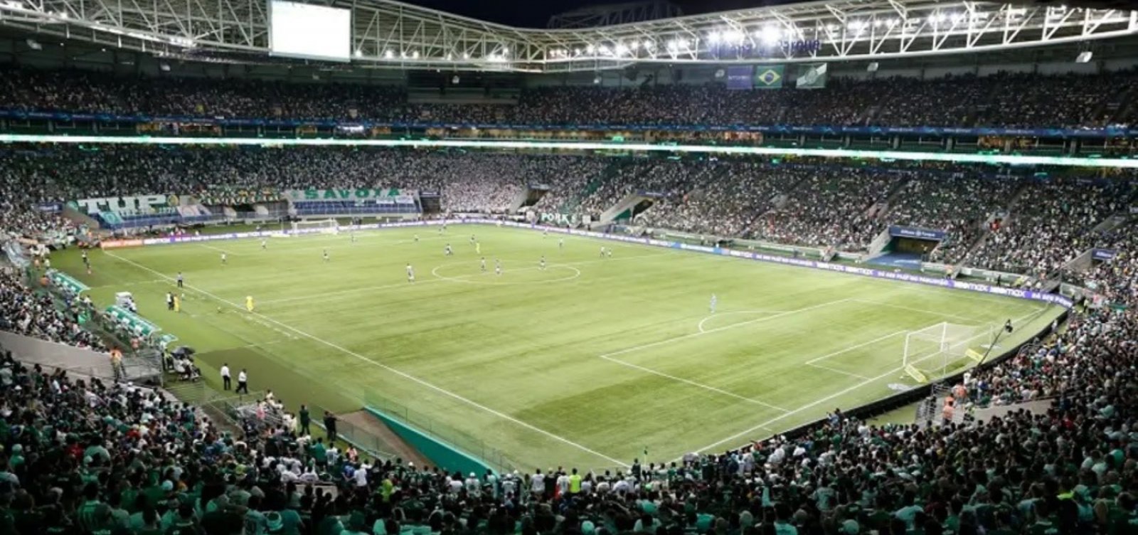 Palmeiras recebe o Vitória em jogo decisivo pela 37ª rodada do Brasileirão