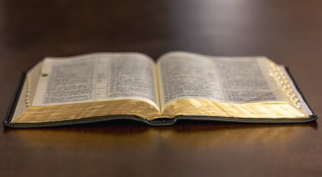 Salvador autoriza uso da Bíblia como material paradidático na rede pública e privada