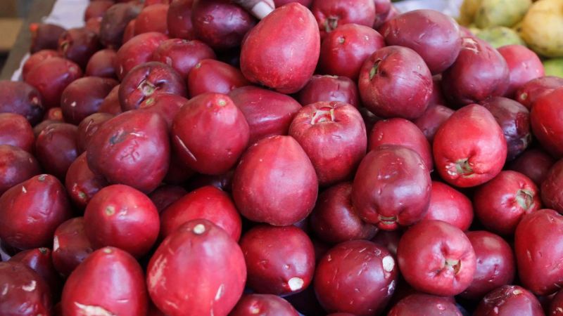 Jambo: fruta tropical que protege o coração e regula a pressão arterial