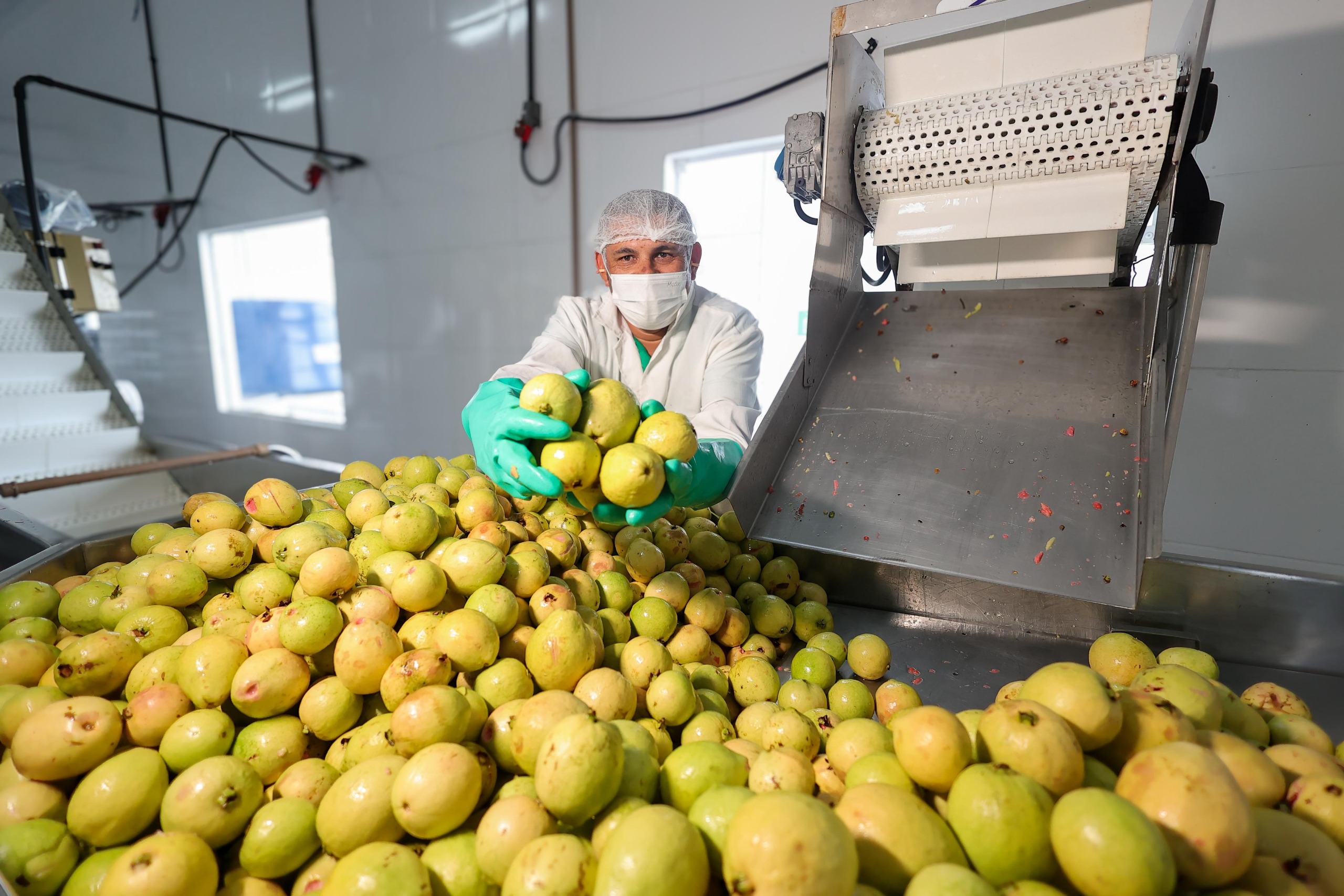 Investimentos do Governo da Bahia impulsionam agricultura familiar e elevam renda no interior do estado