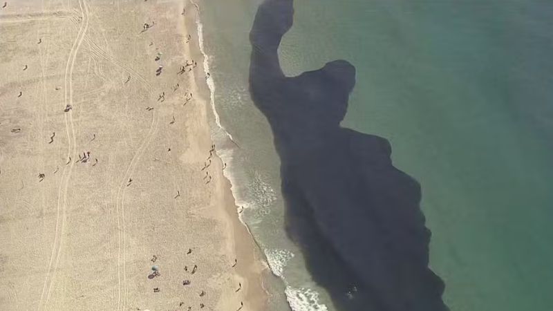 Cardumes atraem banhistas na Praia do Leme em dia de calor no Rio
