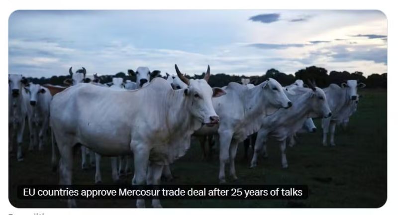 Acordo UE-Mercosul provoca comemorações e protestos em países europeus e sul-americanos