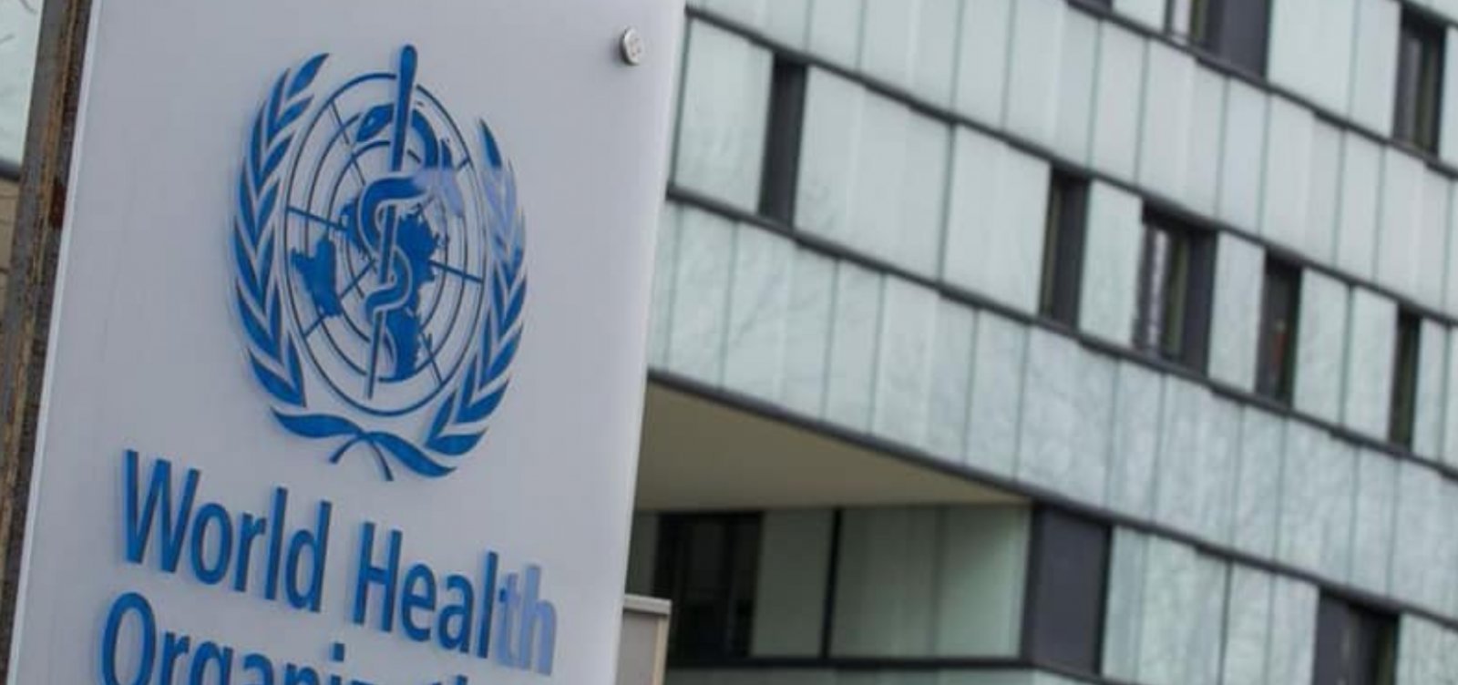 Quase 40% dos casos de câncer no mundo poderiam ser evitados, aponta OMS