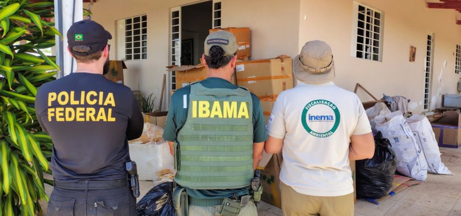 PF fecha unidade clandestina de processamento de barbatanas de tubarão no interior da Bahia