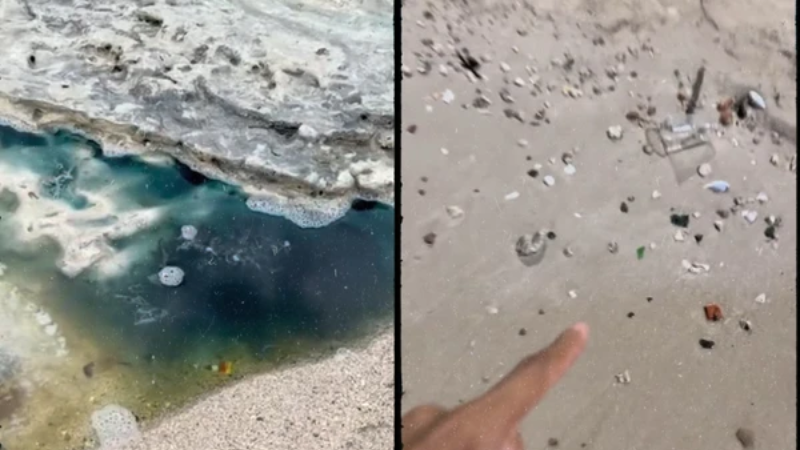Líquido colorido e peixes mortos em praia de Salvador levantam suspeita de contaminação