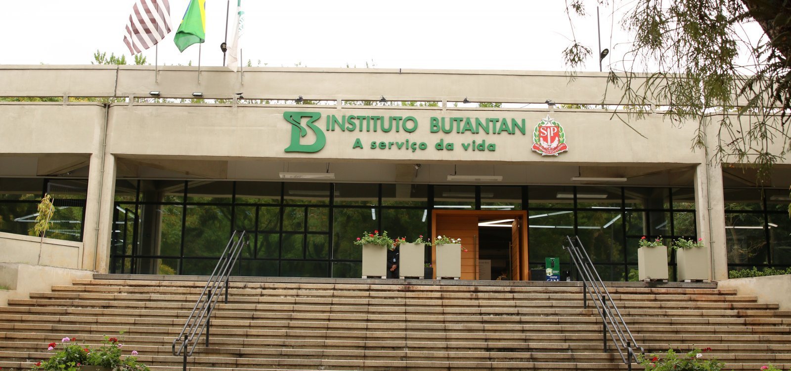 Butantan anuncia produção nacional de medicamento contra o câncer para o SUS