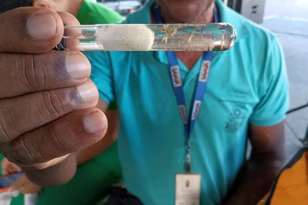 Bahia regulamenta acesso a imóveis para reforçar combate à dengue, zika e chikungunya