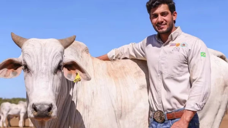 Empresário do agronegócio é encontrado morto em fazenda no Tocantins