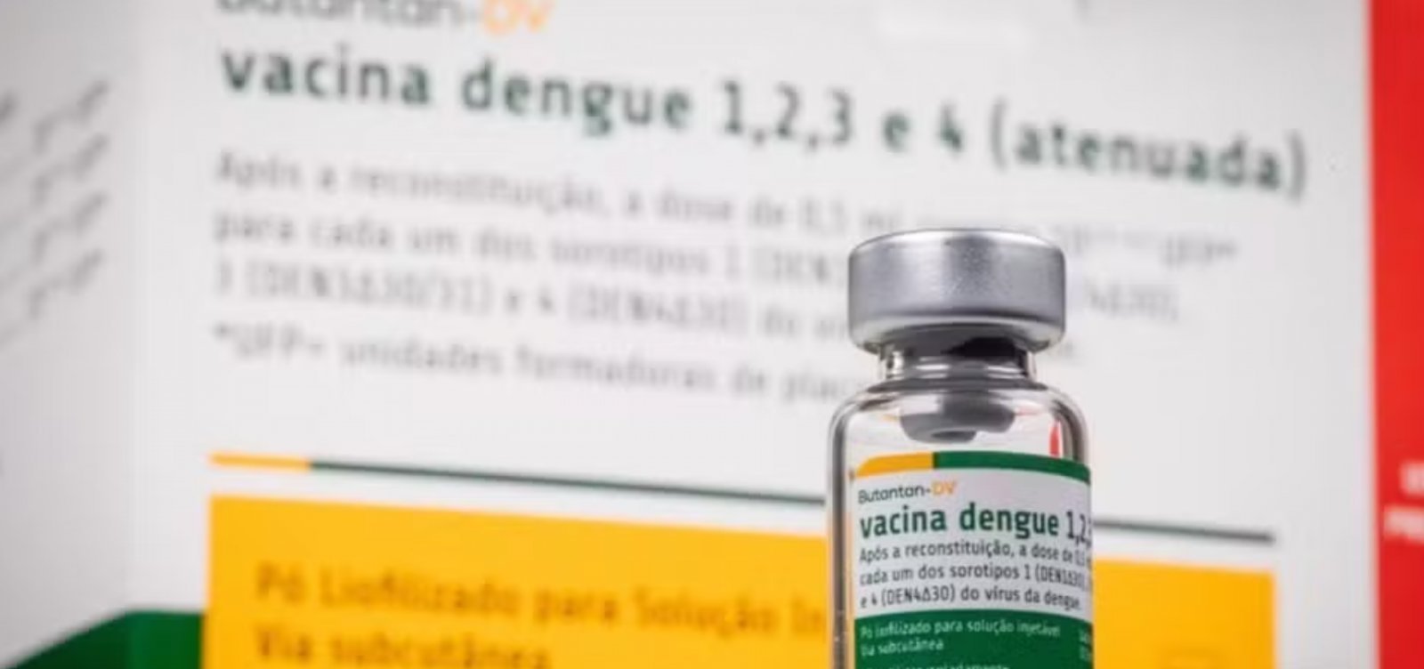 Butantan garante segurança da vacina contra dengue e diz que imunizados há mais de 21 dias podem ficar tranquilos