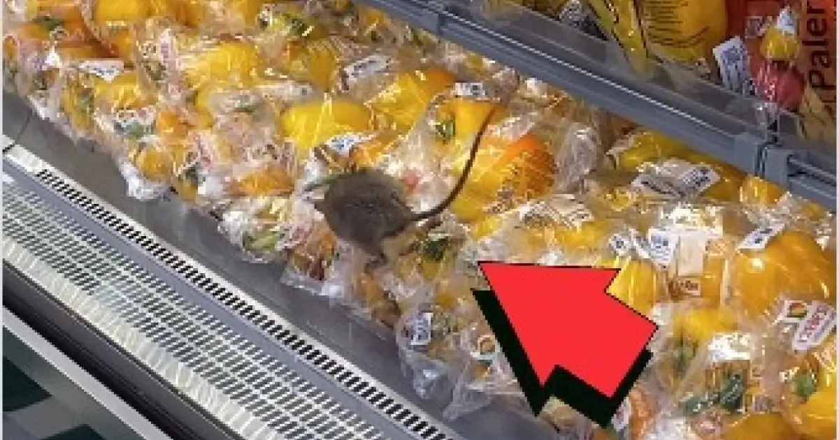 Ratazana é flagrada em setor de hortaliças de mercado no Alphaville, em Salvador