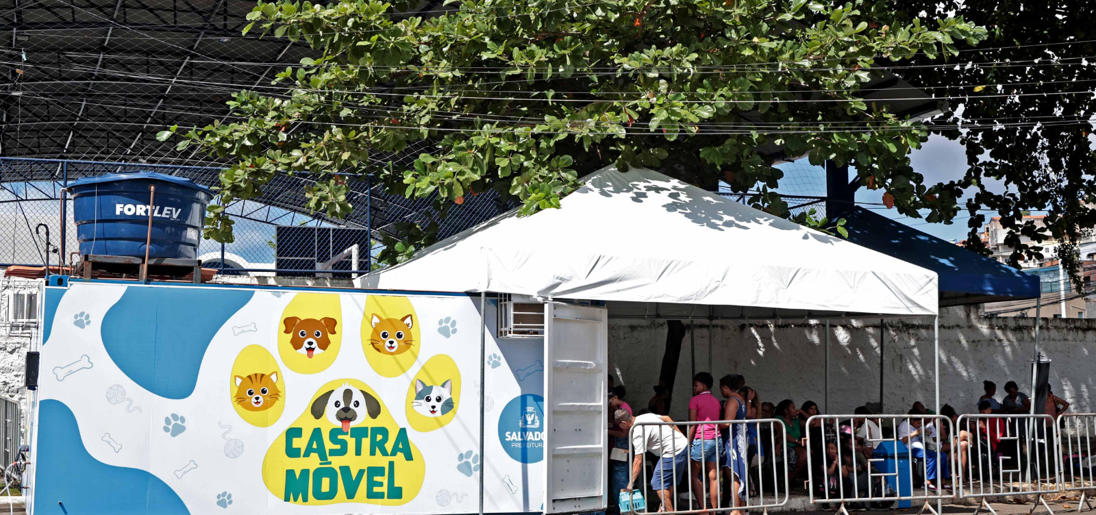 Castramóvel oferece castração gratuita de cães e gatos na Avenida Paralela, em Salvador